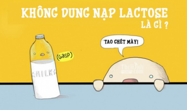 Lactose là gì ? Tiêu chảy khi dùng Whey Protein thì giải quyết làm sao ?