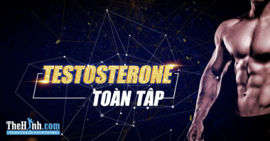 Testosterone toàn tập – Mọi thứ bạn cần biết về hormone giúp tăng cơ