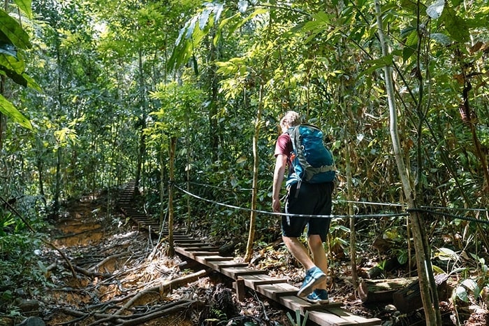 công viên quốc gia ulu temburong, khám phá, trải nghiệm, đến công viên quốc gia ulu temburong thám hiểm khu rừng nhiệt đới hoang sơ của brunei