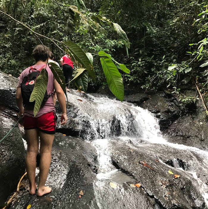 công viên quốc gia ulu temburong, khám phá, trải nghiệm, đến công viên quốc gia ulu temburong thám hiểm khu rừng nhiệt đới hoang sơ của brunei