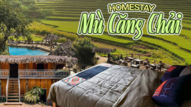 5 affordable homestays are being offered incentives for the ‘hunting’ of golden ripe rice in Mu Cang Chai