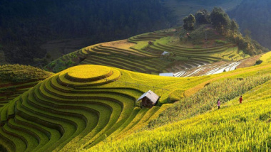 Hà Giang mùa lúa chín, xách balo lên và check in 