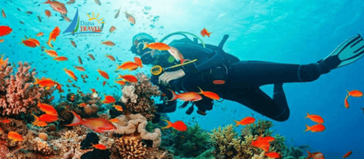 top list, top 7 tour lặn san hô giá rẻ và uy tín nhất đà nẵng