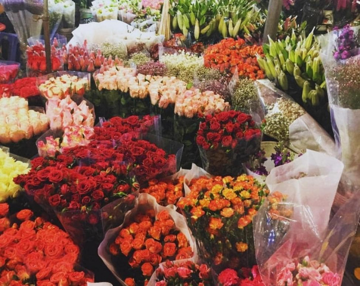khám phá, trải nghiệm, khám phá chợ hoa tứ liên hà nội – chợ hoa không phải ai cũng biết