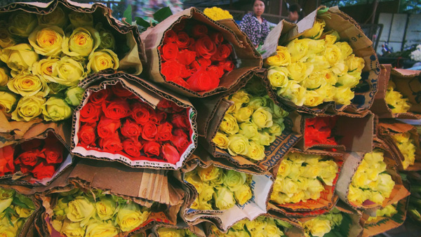 khám phá, trải nghiệm, khám phá chợ hoa tứ liên hà nội – chợ hoa không phải ai cũng biết