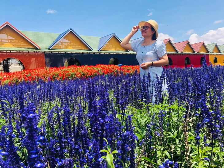 lịch trình,   												review làng hoa vạn thành đà lạt – khám phá vẻ đẹp thiên đường hoa