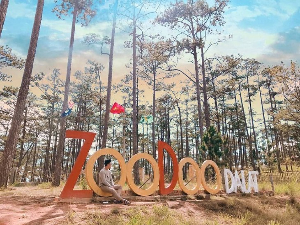 vườn thú zoodoo, đà lạt, điểm đẹp, vườn thú zoodoo đà lạt - thế giới động vật đáng yêu, sống động bé thích mê!