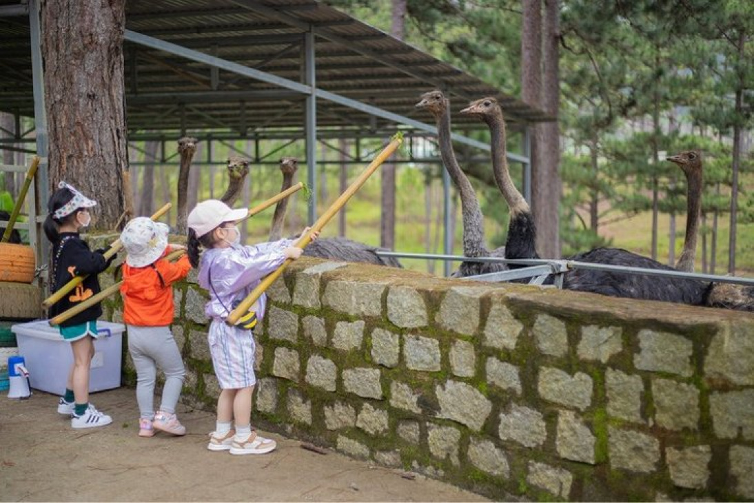 vườn thú zoodoo, đà lạt, điểm đẹp, vườn thú zoodoo đà lạt - thế giới động vật đáng yêu, sống động bé thích mê!