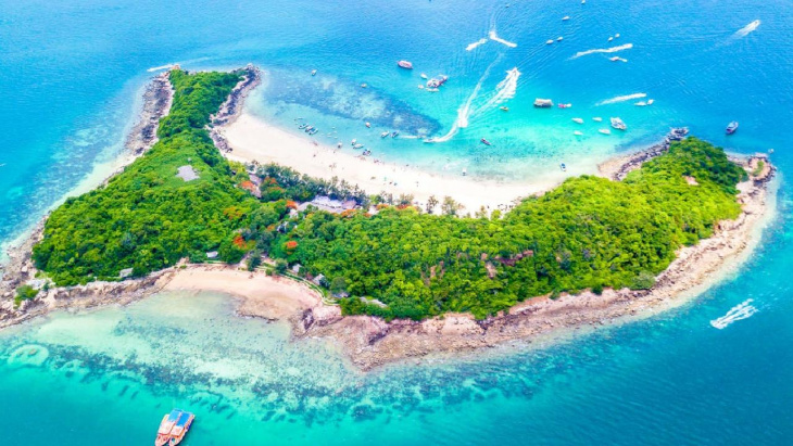 đảo san hô coral – tham quan đảo san hô cực đẹp tại pattaya thái lan