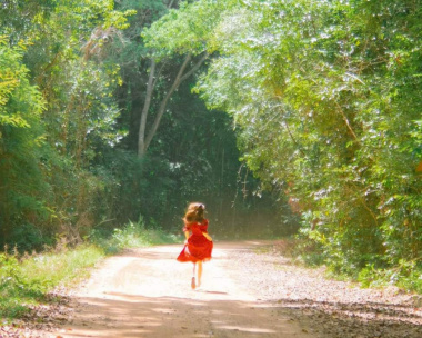 Vườn quốc gia Phú Quốc | Điểm đến cho những tín đồ mê khám phá