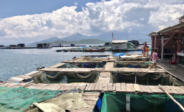 du lịch biển, du lịch nha trang, khám phá, nha trang, việt nam, đảo bình hưng, điểm đến, khám phá các trải nghiệm hấp dẫn tại đảo bình hưng