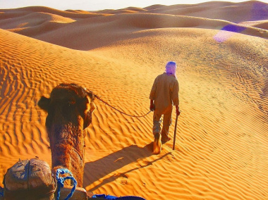 Cưỡi lạc đà và các trải nghiệm tại cồn cát Grand Erg Oriental Tunisia