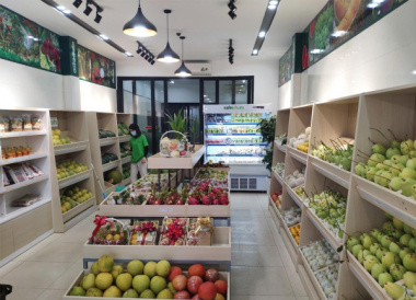 Top 7 Cửa hàng trái cây nhập khẩu quận 5 TPHCM ngon chất lượng