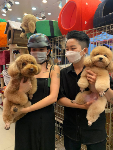 Top 10  Dịch vụ tắm chó mèo uy tín nhất ở Hà Nội