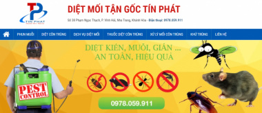 Top 3  Dịch vụ diệt mối, côn trùng uy tín nhất tỉnh Phú Yên