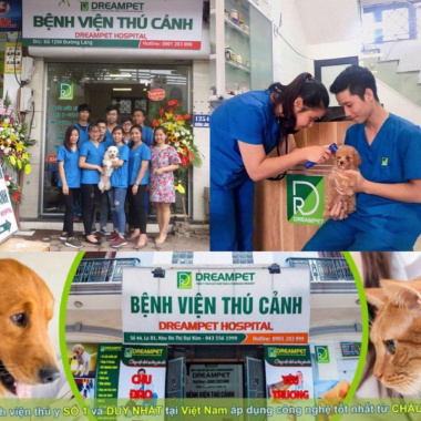 Top 9  Dịch vụ spa thú cưng tốt nhất tại quận Hoàng Mai, Hà Nội