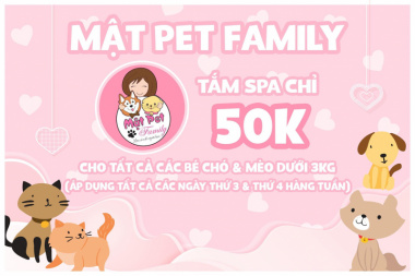 Top 8  Dịch vụ spa thú cưng tốt nhất tại quận Thanh Xuân, Hà Nội