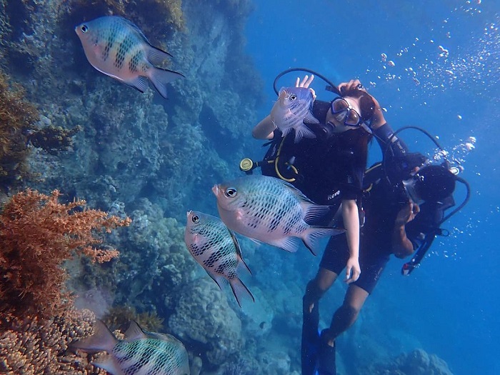 vịnh san hô nha trang, khám phá, trải nghiệm, lặn ngắm san hô rực rỡ tại vịnh san hô nha trang