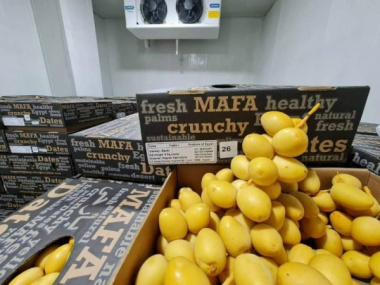 Top 10 Cửa hàng trái cây nhập khẩu quận Bình Thạnh chất lượng