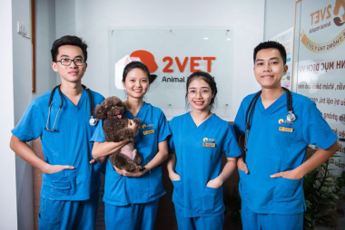Top 5  Dịch vụ tư vấn dinh dưỡng cho thú cưng tại Hà Nội