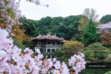 Lịch trình 7 ngày du lịch Nhật Bản ngắm Hoa Anh Đào