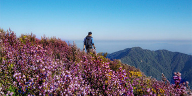 Chinh phục đỉnh Tà Chì Nhù – Ngắm hoa chi pâu trên nóc nhà Yên Bái