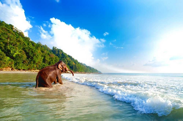 du lịch andaman, khám phá, trải nghiệm, hướng dẫn du lịch andaman - quần đảo nhiệt đới trong vịnh bengal