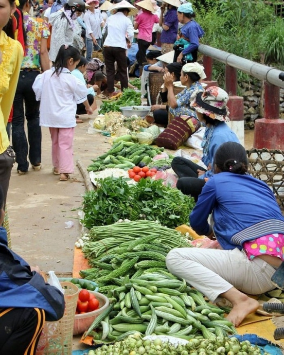 trải nghiệm du lịch ở pù luông, khám phá, trải nghiệm, tham gia những trải nghiệm du lịch ở pù luông hòa mình vào núi non xanh biếc