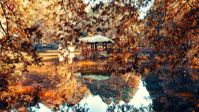 du lịch cao nguyên alishan mùa thu: vui chơi, ngắm cảnh đẹp quên sầu