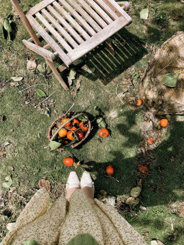 5 fruit-laden persimmon gardens in Da Lat that are both beautiful and satisfying to eat on the spot are waiting for you to visit