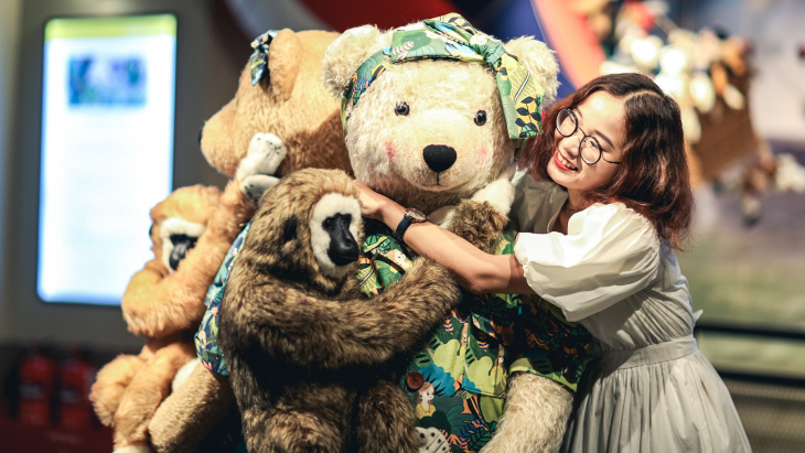 homestay, nhà đẹp, bảo tàng gấu teddy phú quốc – nơi lưu giữ tuổi thơ