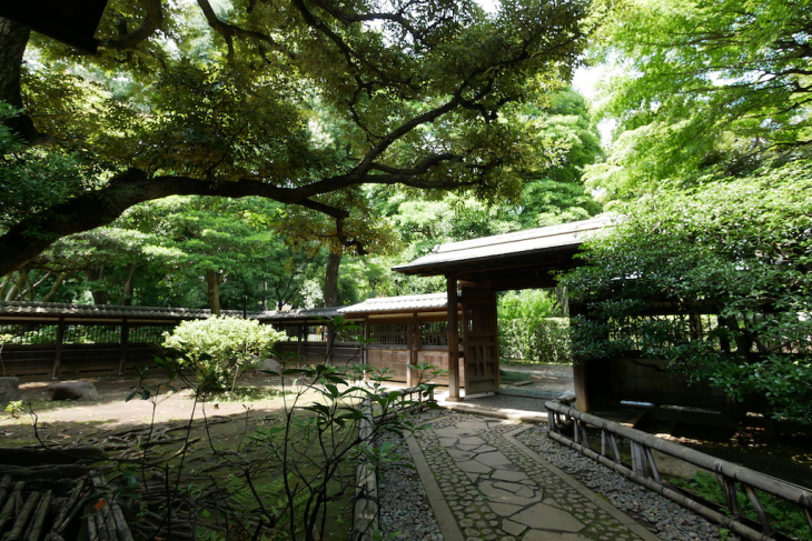 , công viên và vườn, điểm đẹp, nhật bản, nhật bản, dạo quanh công viên komaba ở tokyo để tìm hiểu văn học, kiến ​​trúc lịch sử và sản phẩm thủ công truyền thống của nhật bản