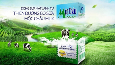 Top 8 địa điểm bán sữa Mộc Châu chất lượng 