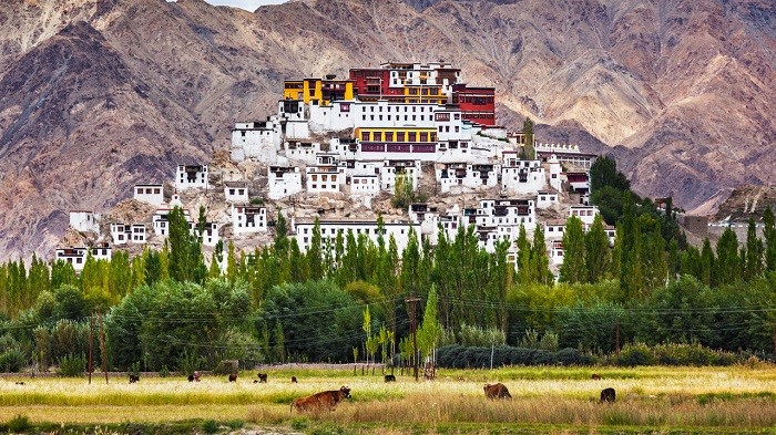 khám phá, trải nghiệm, du lịch ladakh ấn độ - khám phá “tiểu tây tạng” trên đất ấn
