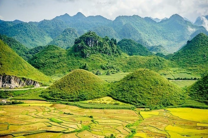 reviews, chơi tẹt ga với lịch trình hà giang 4 ngày 3 đêm