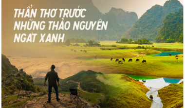 The “green steppe regions” in Vietnam make visitors nostalgic at first sight