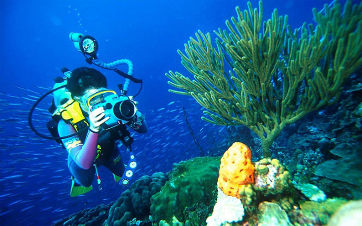 homestay, nhà đẹp, lặn ngắm san hô phú quốc – hoạt động thú vị không nên bỏ lỡ