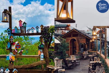 Top 10 quán cà phê đẹp nhất ở Đà Lạt checkin sống ảo cực xịn