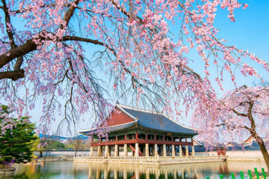 Du Lịch Hàn Quốc - Tổng Hợp Những Địa Điểm Ăn Chơi Hot Nhất