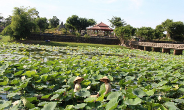 Hồ Tịnh Tâm – Vườn ngự uyển bên Kinh thành Huế