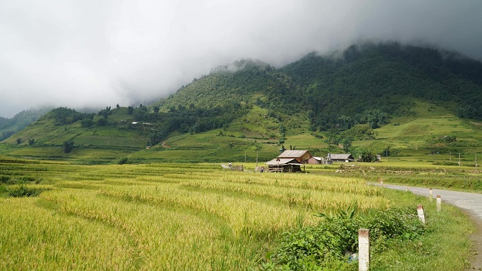 y tý farmstay, khám phá, trải nghiệm, đến y tý farmstay tận hưởng những ngày thật bình yên và thong thả