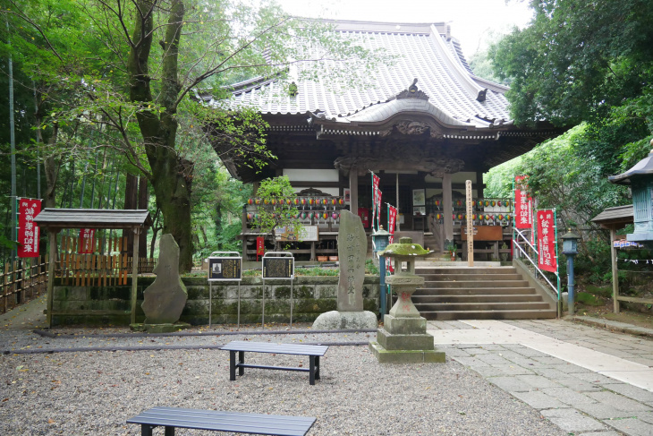 , ngắm cảnh, điểm đẹp, nhật bản, nhật bản, thư giãn và hòa mình vào thiên nhiên tại  công viên machida yakushiike shikisai no mori