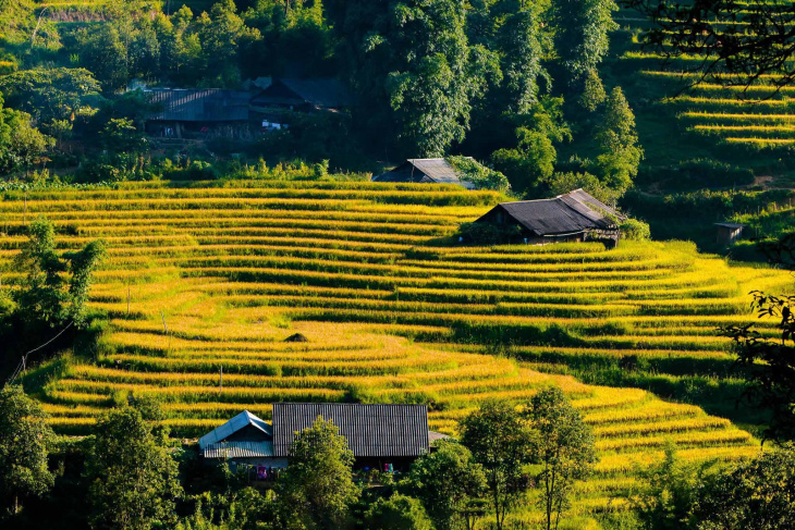 homestay, nhà đẹp, cổng trời sapa – nơi mở ra cách sắc thiên nhiên đầy màu sắc