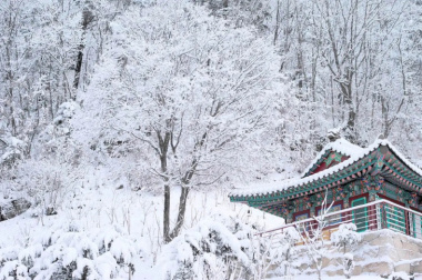 Trải nghiệm những hoạt động mùa đông độc đáo trong tour Hàn Quốc 5N4Đ