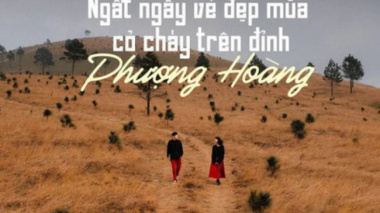 See the beautiful and poetic burning grass season on Phuong Hoang hill, Quang Ninh