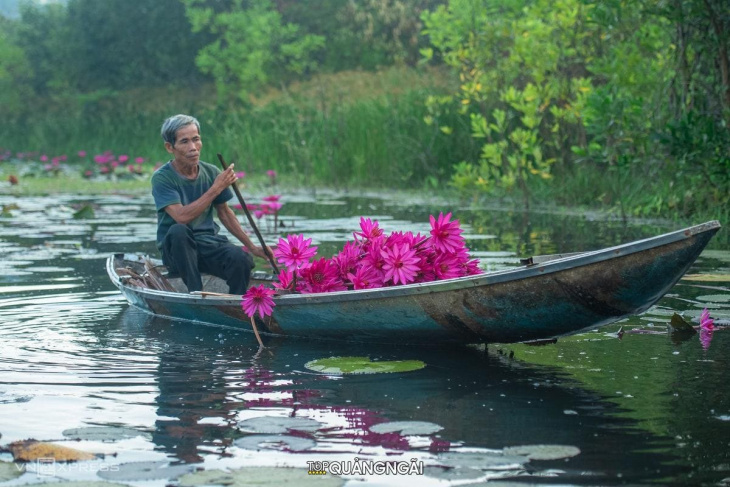 khám phá vẻ đẹp đèo eo gió quảng ngãi