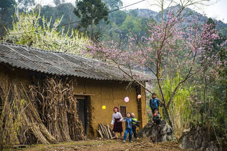 50+ hình ảnh về Hà Giang, ảnh phong cảnh Hà Giang đẹp nhất