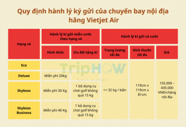 Quy định ký gửi hành lý của các chuyến bay nội địa Việt Nam