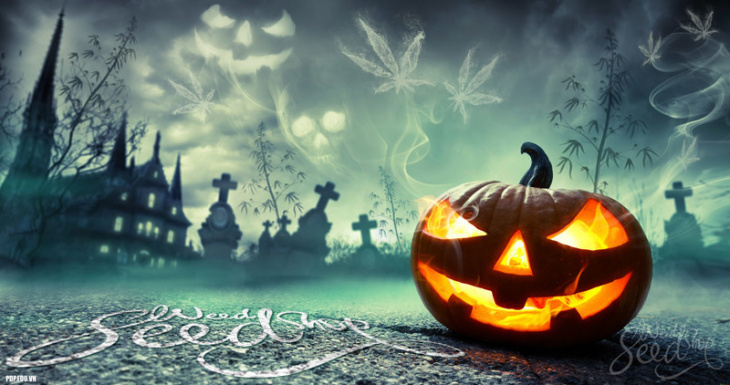 hà giang, 50+ hình ảnh halloween đẹp kinh dị đáng sợ nhất cho bạn