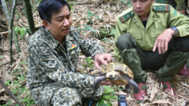 Discover many rare turtle species at Pu Hu Nature Reserve